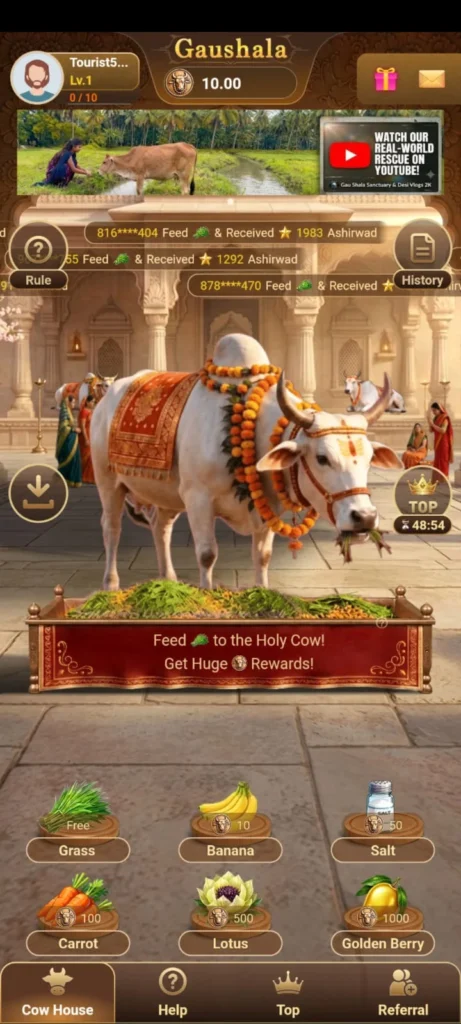 gau seva 